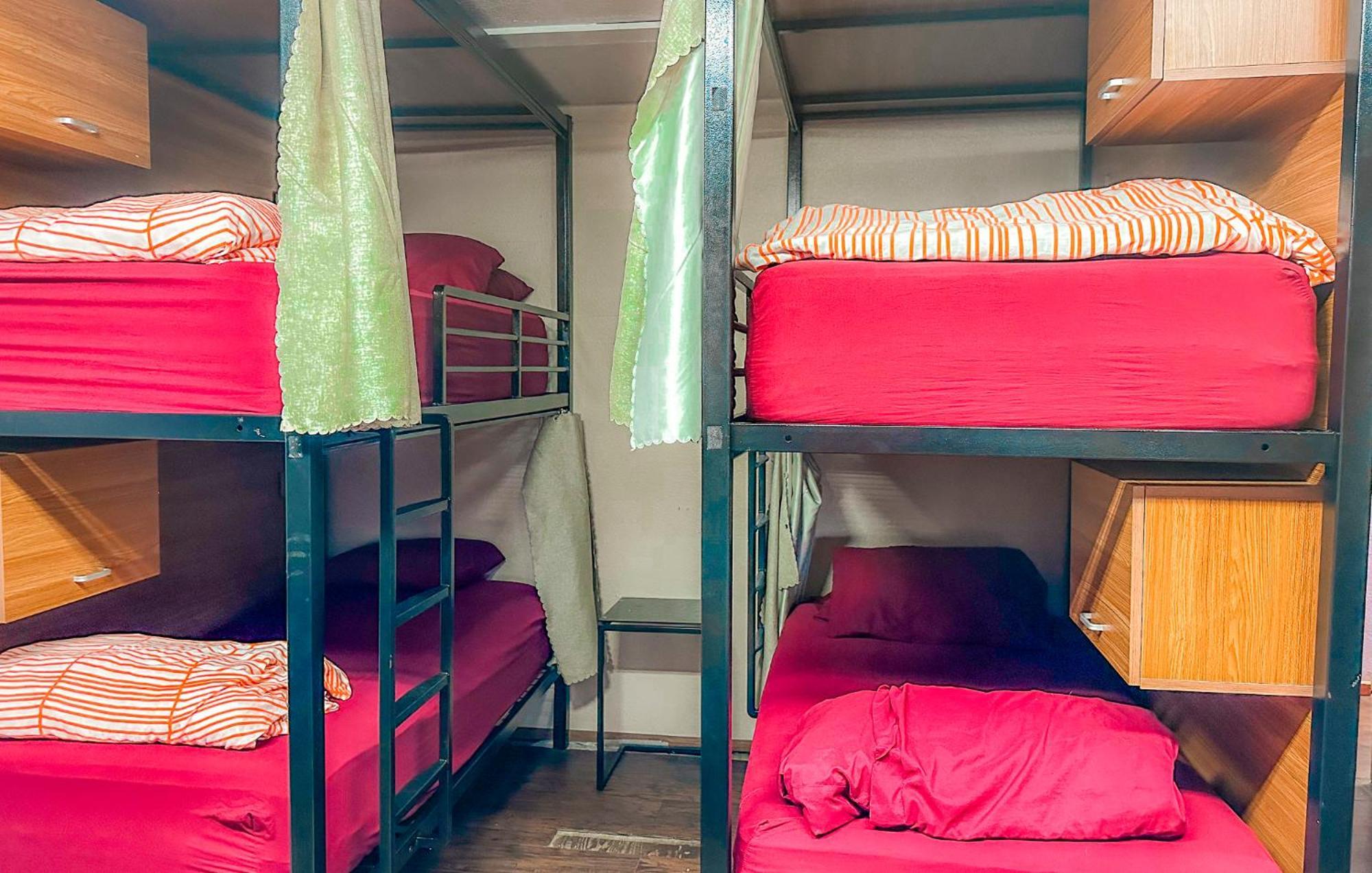 Bed in 8-Bed Mixed Dormitory Room with En suite Bathroom,1589585027:JPEG